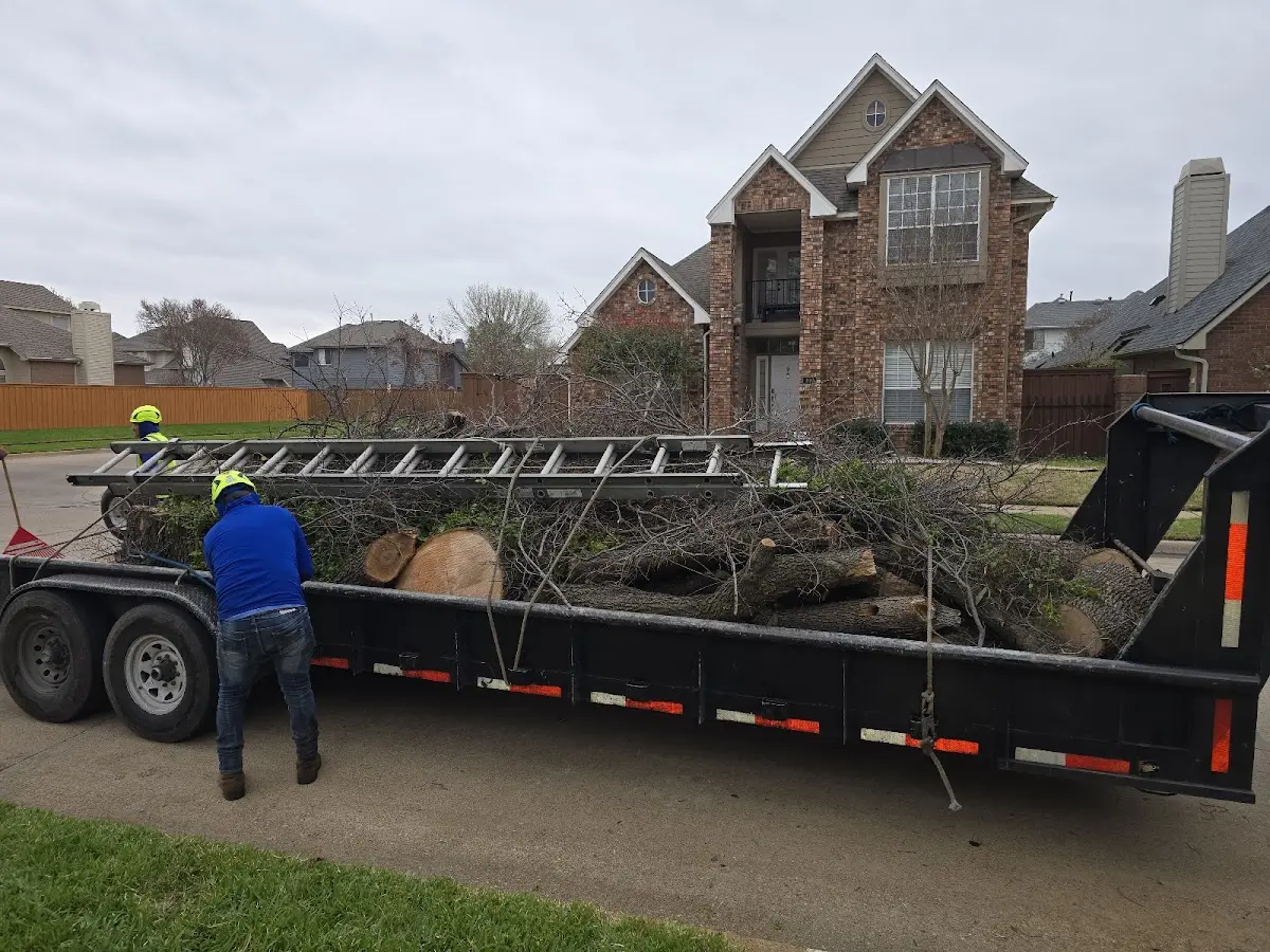 Expert Lot Clearing with proper safety equipment in Cades